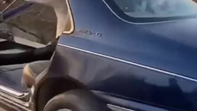 Enjoying Self-made Motor-Car