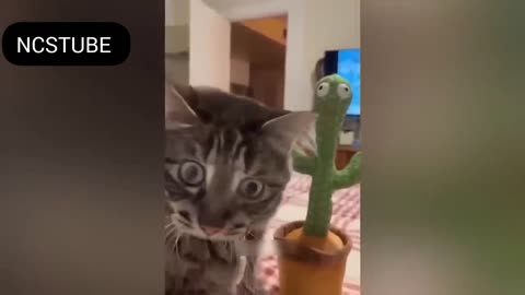 Funny Animal Moments🤣🤣🤣