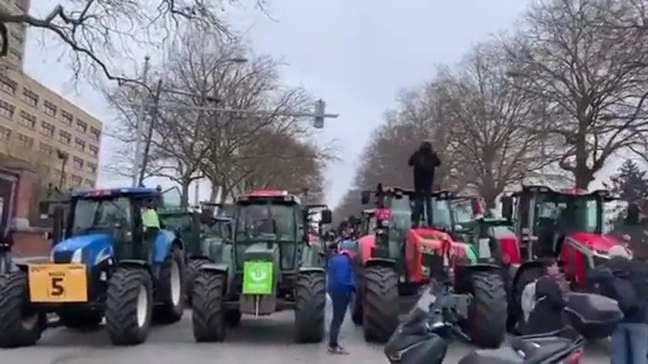 The Dutch farmers have arrived in Brussels to crash the green agenda