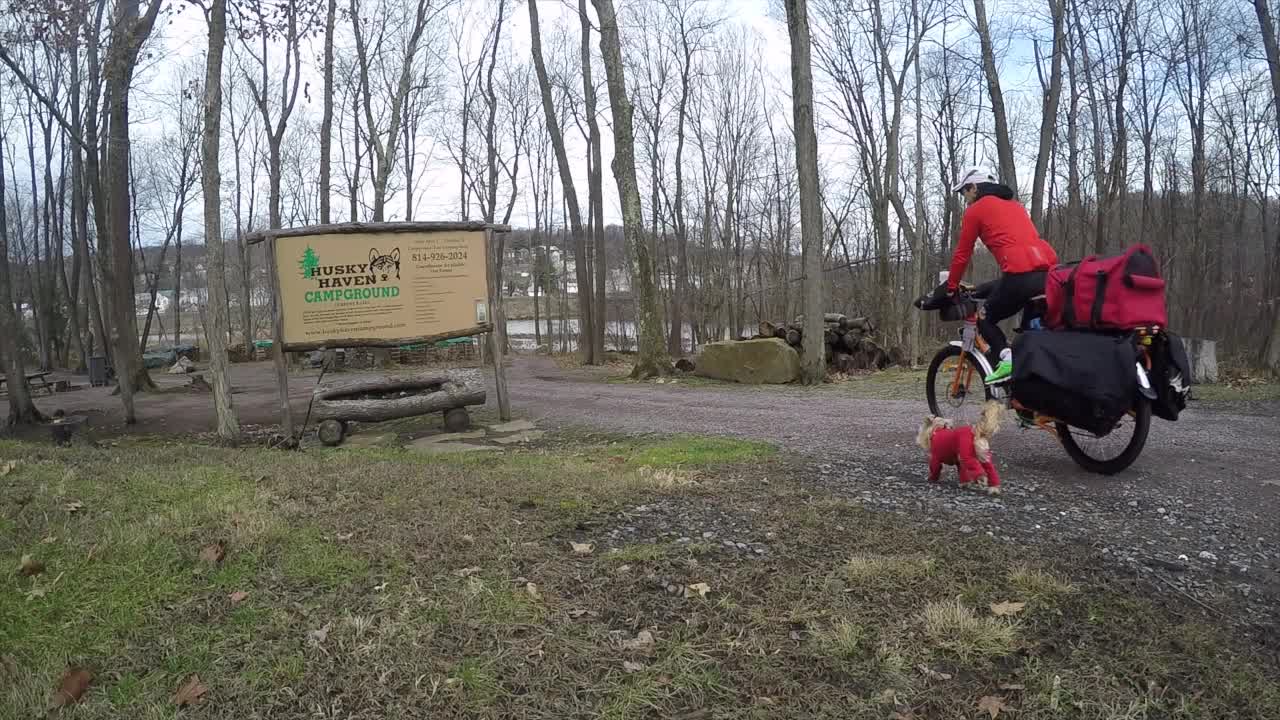 Dog and owner use electric cargo bike for camping adventure