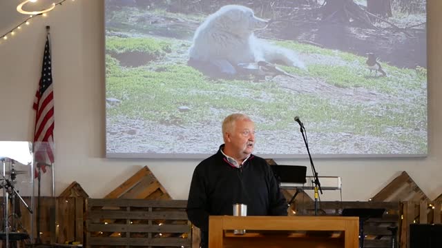 Mountain High Chapel Ed Shirley - Summer Dog 05-22-2022