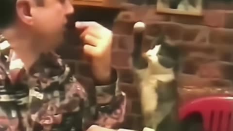 "Heartwarming Moment: Deaf Man and His Kitten Communicate through Signs 🐱🤟"