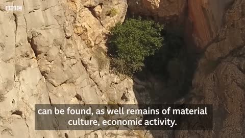 The Prehistoric Origins of the Silk Road – BBC REEL