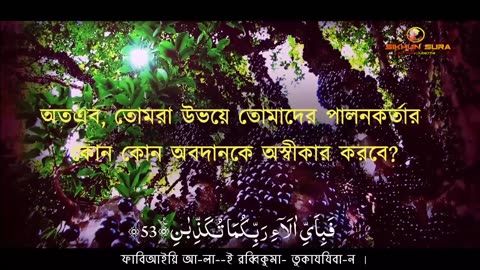 Surah Yasin (Yaseen)