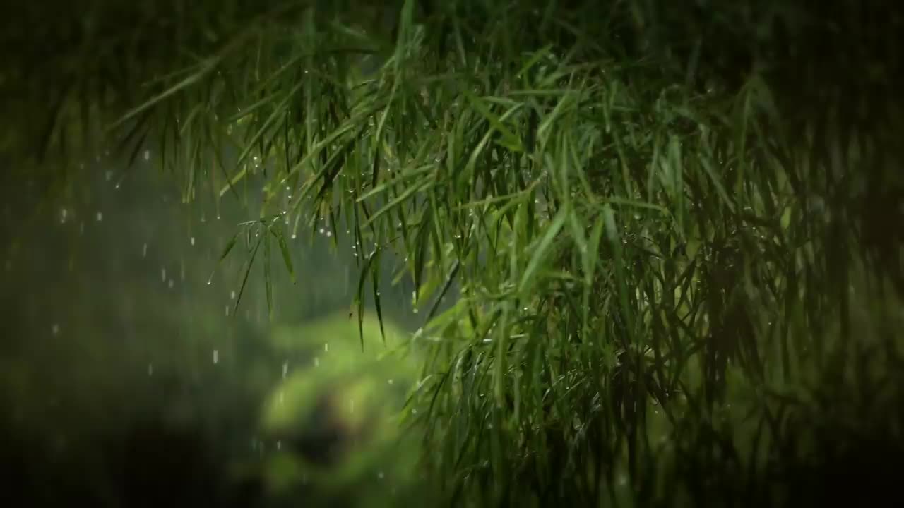 Rain Sounds For Sleeping - 99% Instantly Fall Asleep With Rain And Thunder Sound At Night