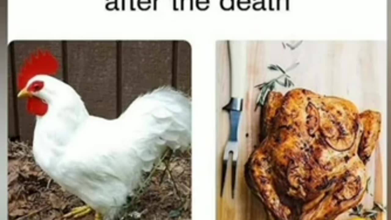 Memes that will make you laugh | Funny Memes 😂😂
