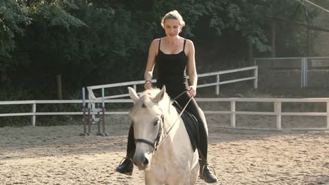 Horse Silhouette. Horse Riding in the Summer Forest