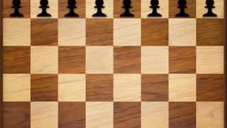 Amazing Playing for beginner players for Chess Playing