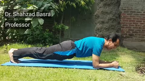 Elbow Plank
