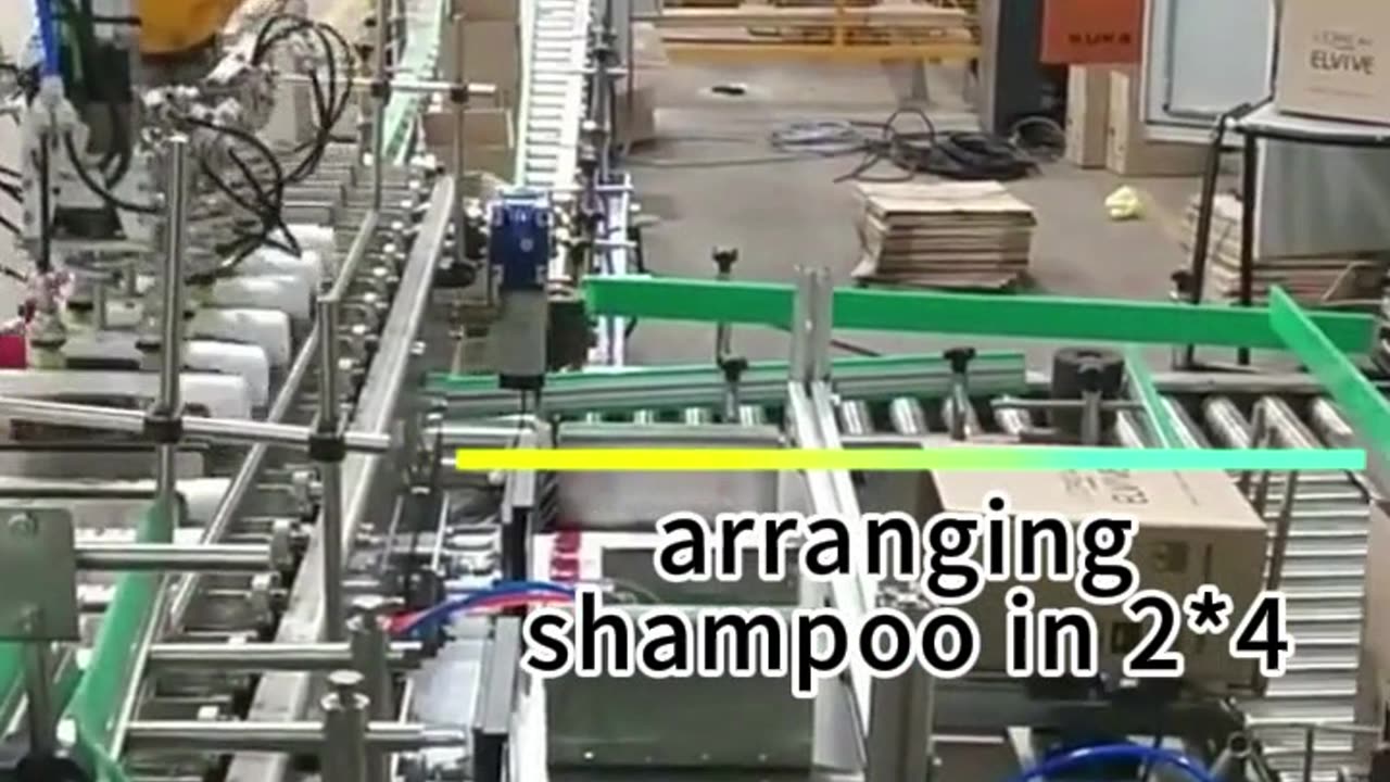 Robot carton packer for shampoo 2*4