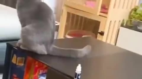Funny video