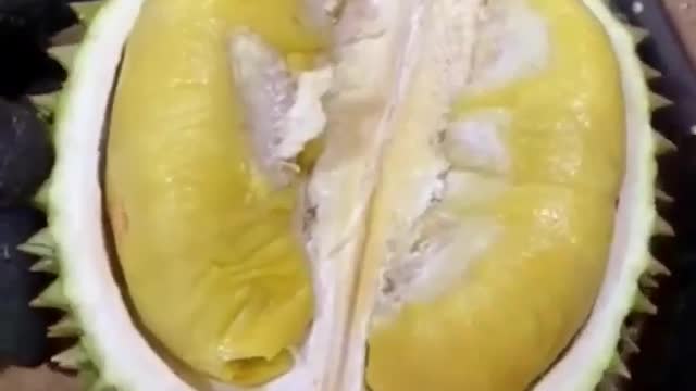 UNBOXING LAGI DURIAN MUSANGKING FRESH FROM MALAYSIA