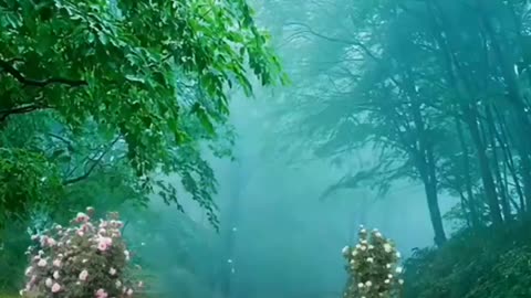 Waterfall Slow Motion sound