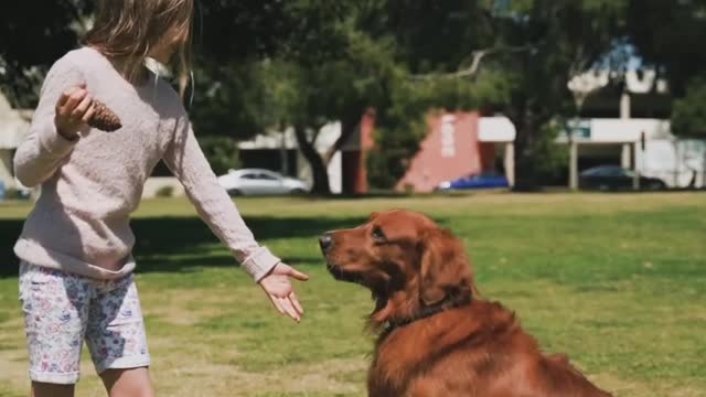 Cute girl playing with her dog😍