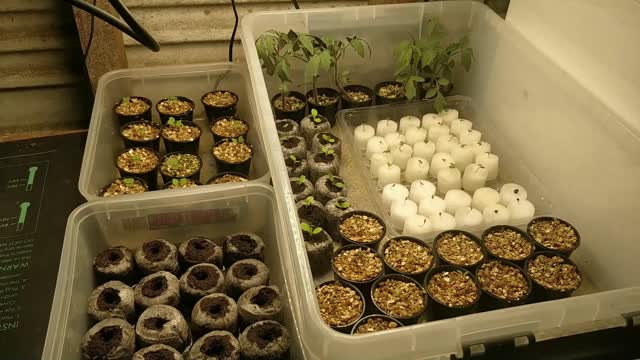 Seed Propagation and Controlled Environment