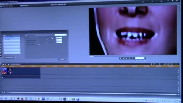 27. How I Catch Reptilian Shapeshifters (2013)