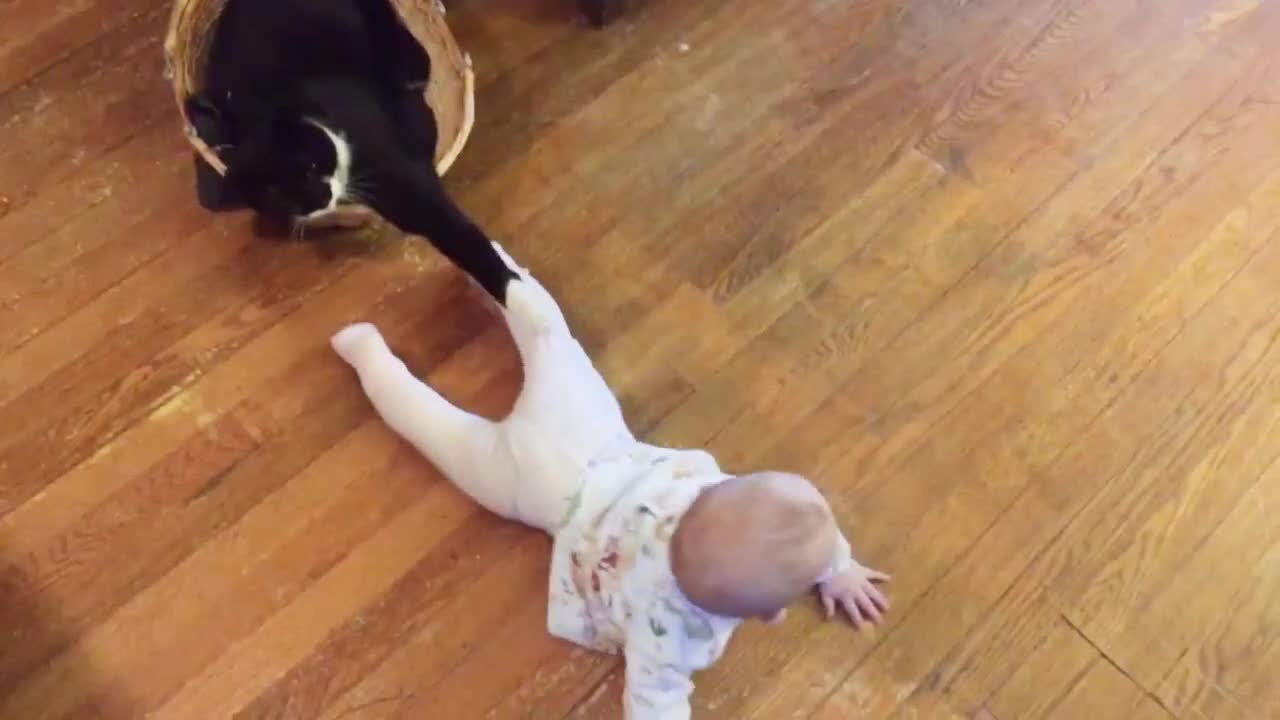 🐱🐾Cat Vs Baby😍💖 Playing Together😂