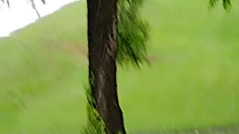 Rain on a hot sunny day