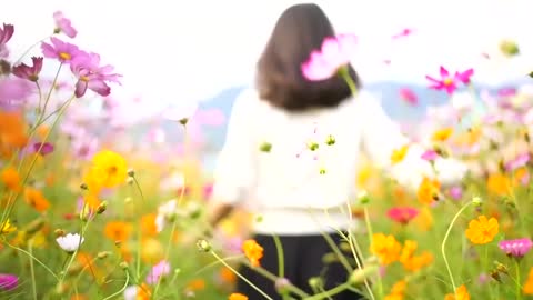 sea of flowers