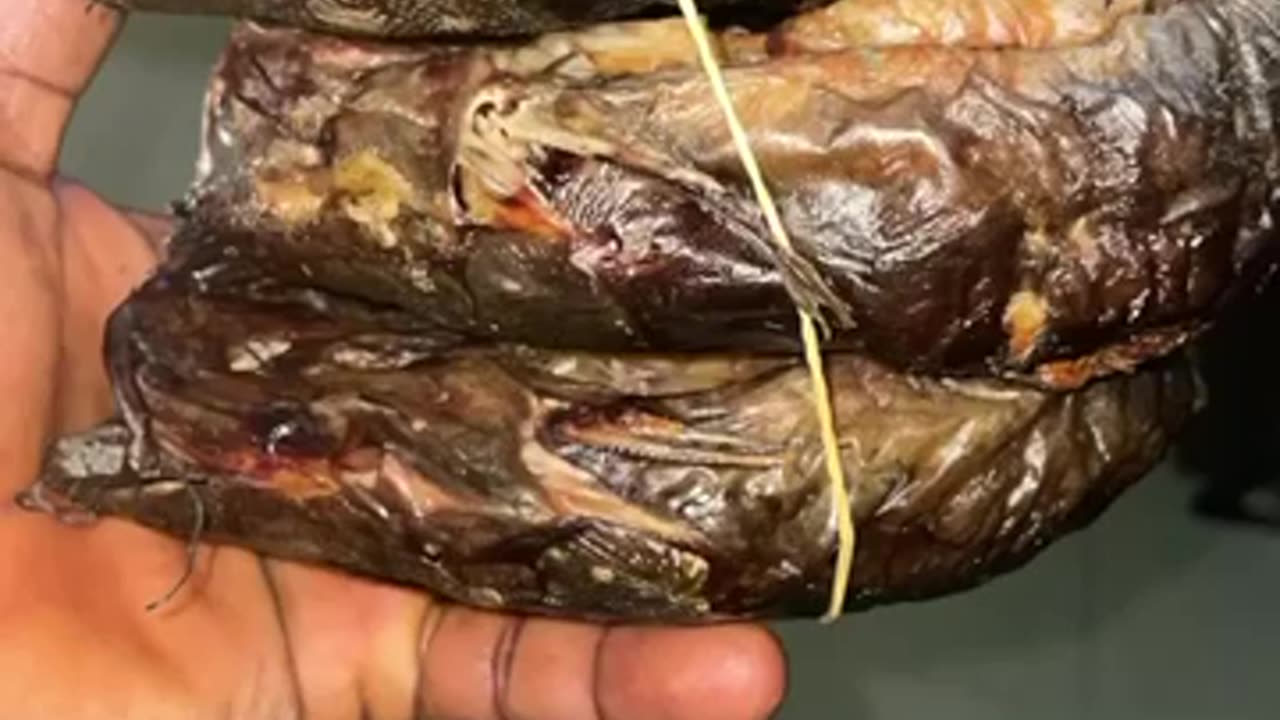 Yummy Yummy Yummy #Yummycatfish