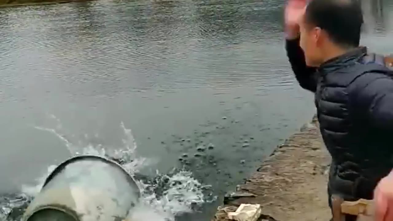 funny video