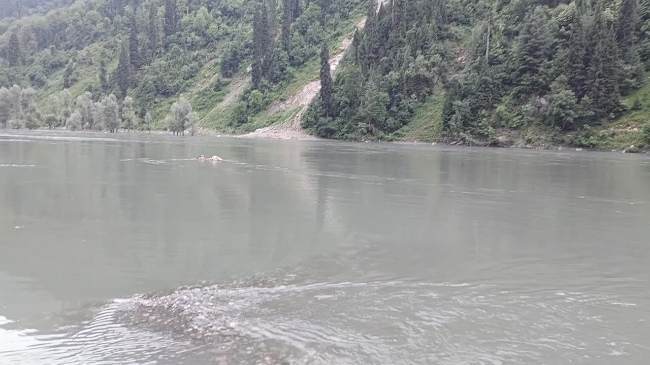 Soothing River View ...