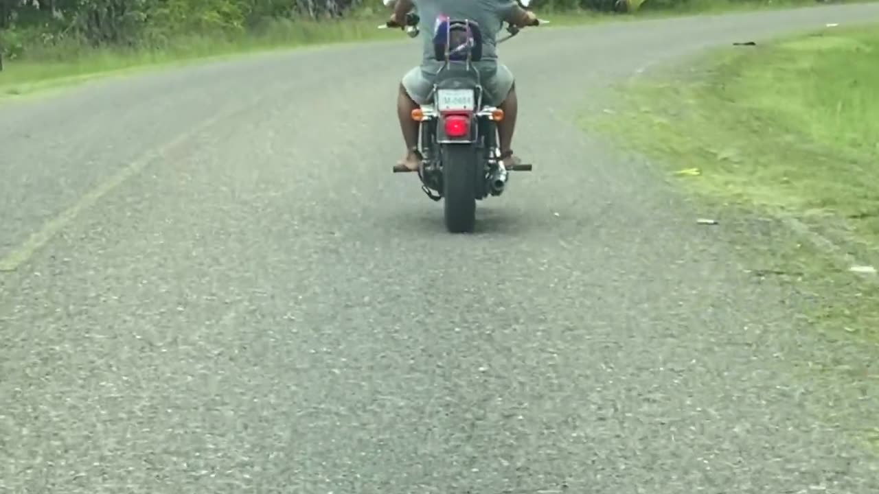 Chicken Rides a Motorcycle