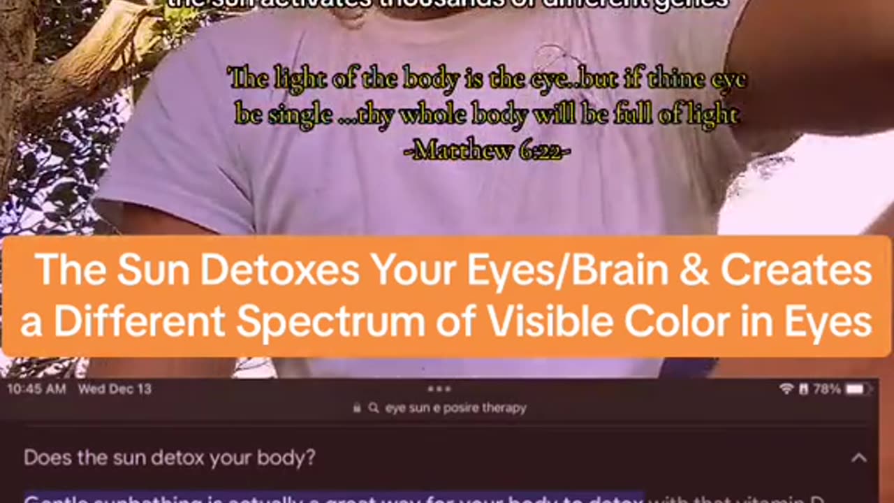 The Sun Detoxes the Eyes/Brain