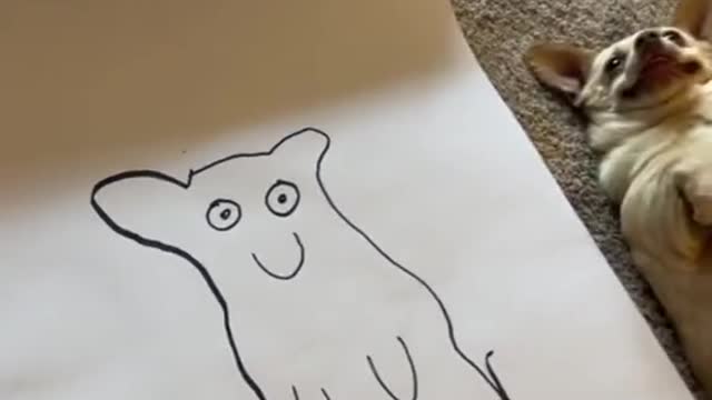 The dogs face is so cute🥰