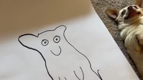 The dogs face is so cute🥰