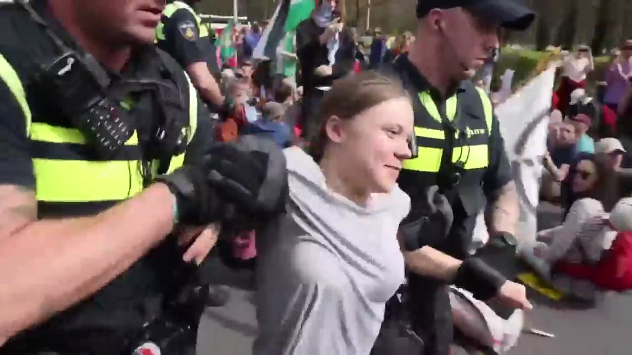 Greta Thunberg: Activist arrested at Hague climate protest