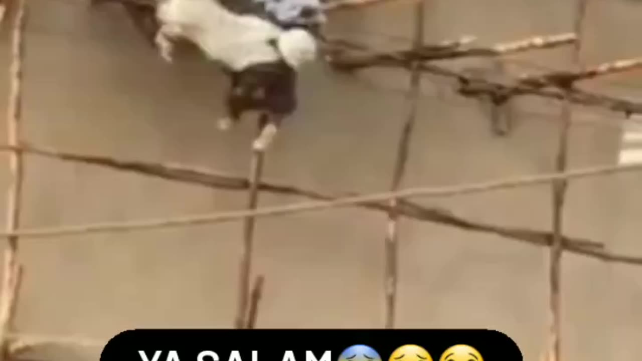 OMG