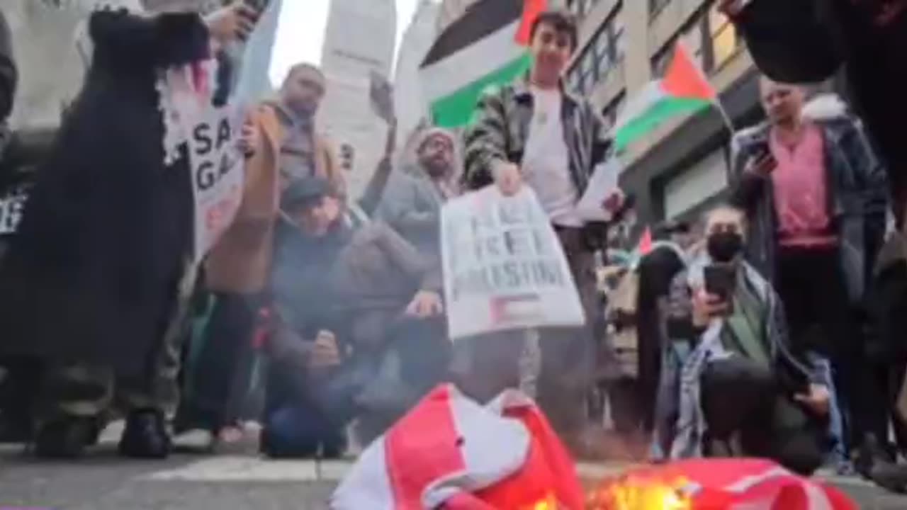 Police clash with pro-Gaza protesters in New York #shorts #viral