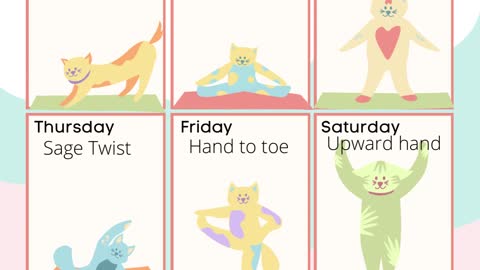 Yoga Cat