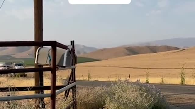 😱 UFO #Viral #flow #funny #strange