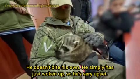 Kherson the Racoon does a press conference