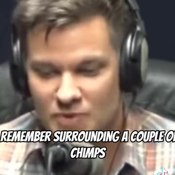 Monkeys escaped in covington in 1994