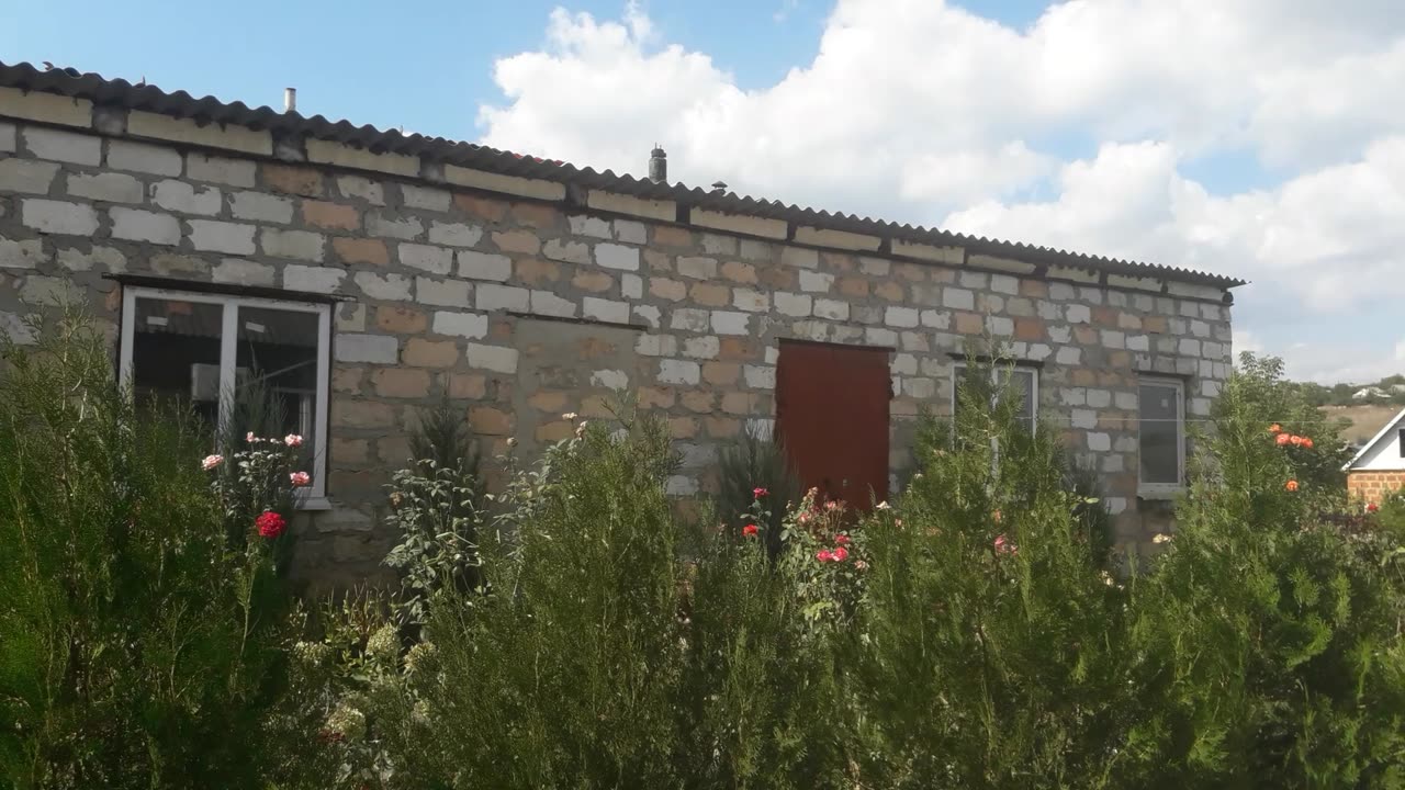 Our yard