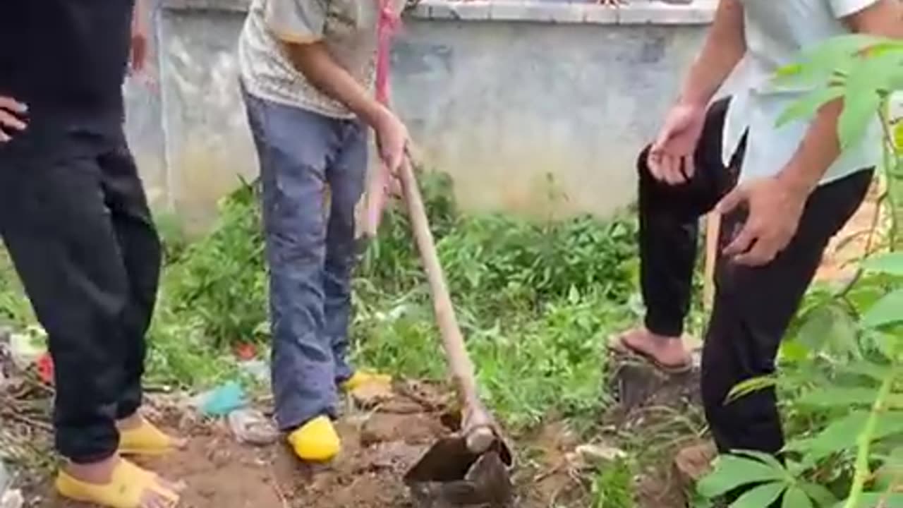 Best Funny Videos