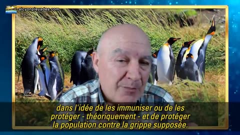 La vaccination des enfants contre la grippe n'est pas nécessaire.