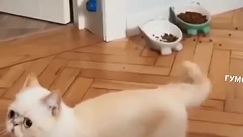 what a reaction)))