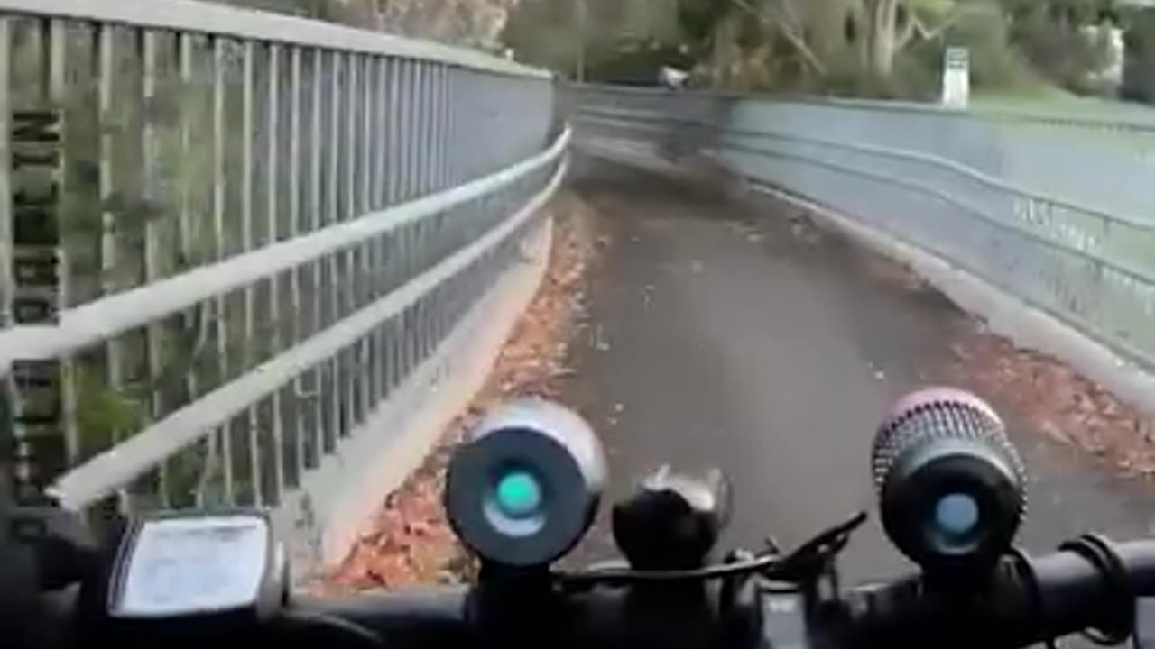 It Must Be Good Luck
