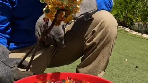 Pouring molten metal into water beads to make a sculpture