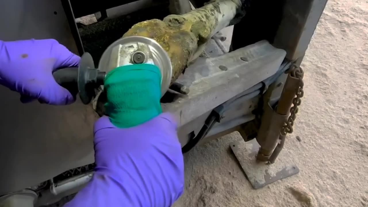 TREMBLING in PAIN this COWS HOOF STORY