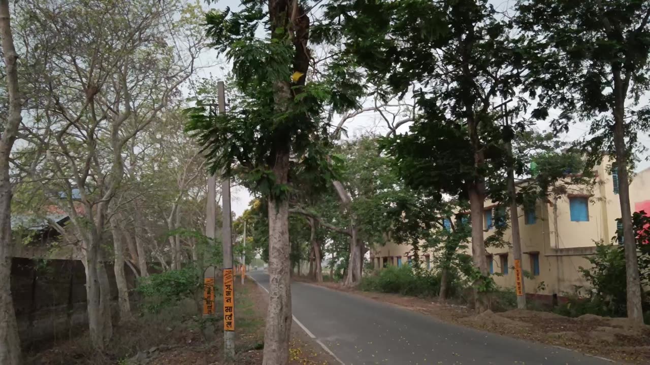 Kalboishakhi jhor