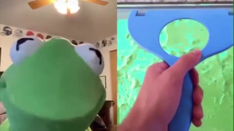 Funny Kermit on Tiktok