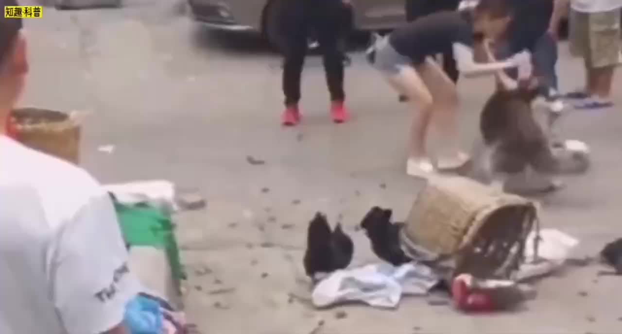 Tie the dog rope