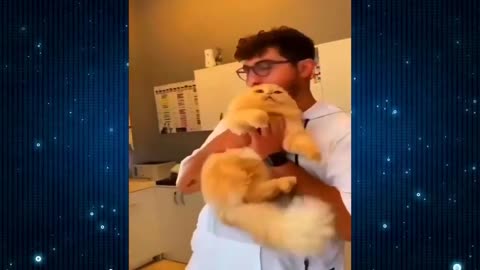 Part 04 of New Funny Videos 2024: The Funniest Dogs & Cats Videos🐶😹