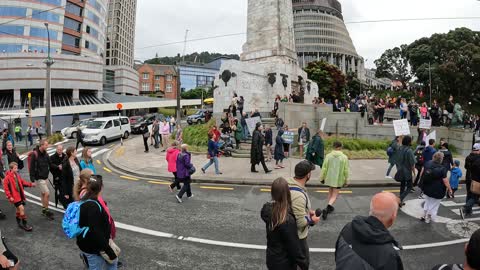 March On Wellington 16 Dec 2021 Pt 4 of 6