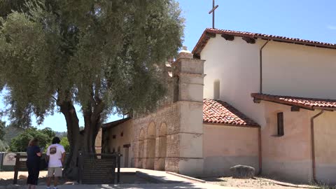 California Mission San Antonio De Padua Olive Tree And People